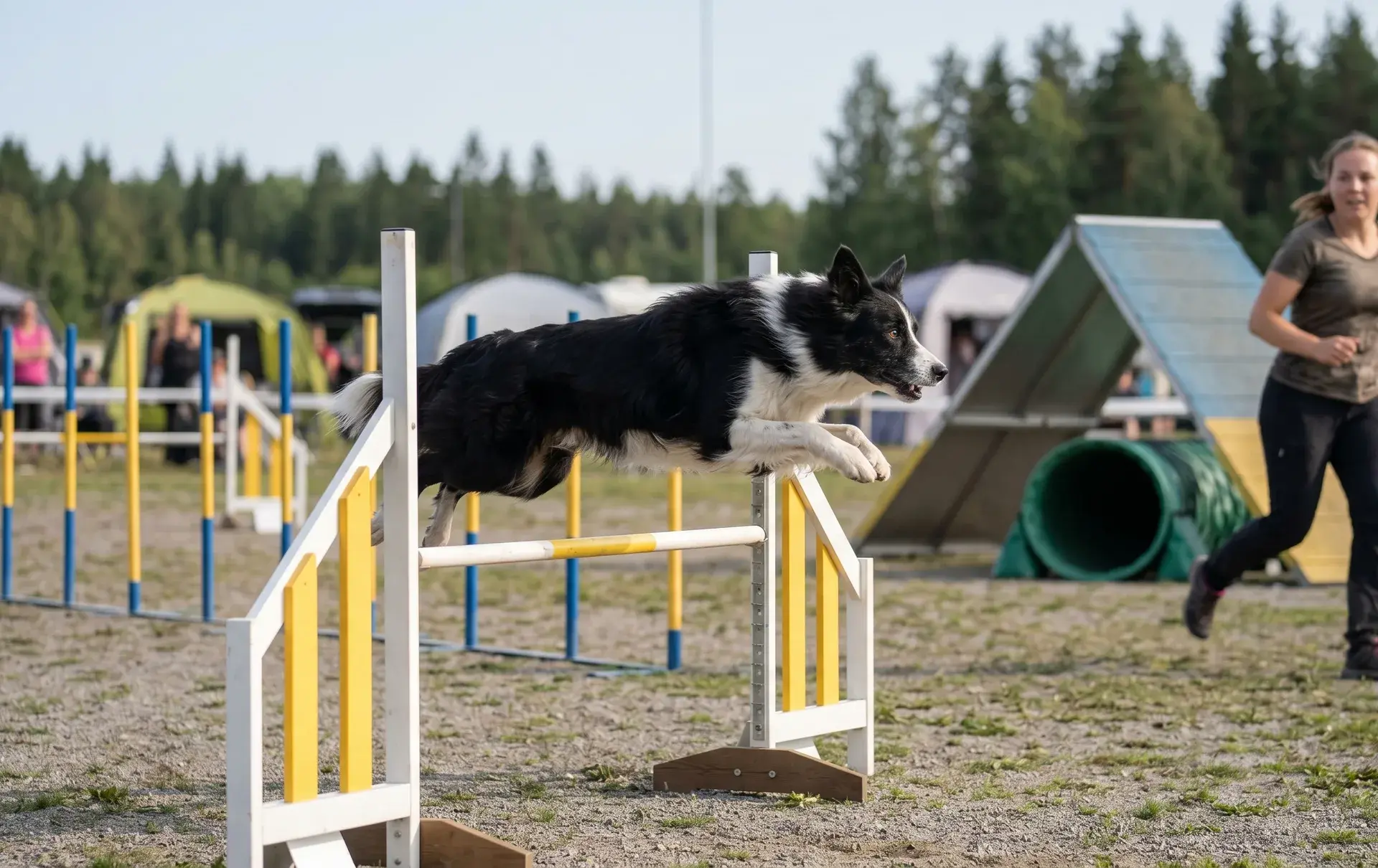タフロックDOG
