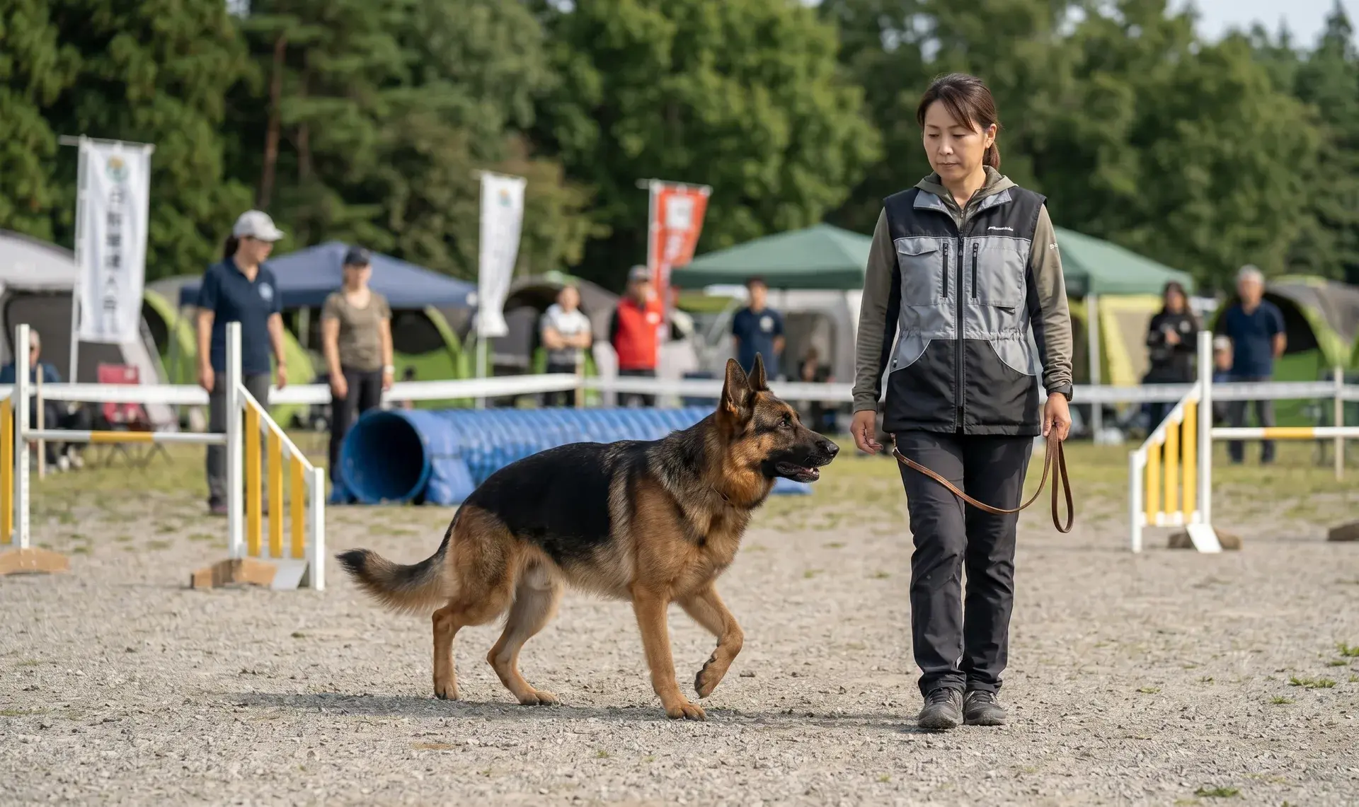 タフロックDOG